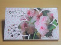 花のまわりみち八重桜イン広島1